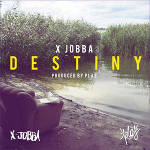 Destiny (feat. Plas) (Explicit)