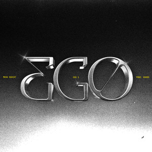 EGO 1 (Explicit)