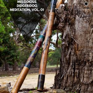 Melodious Didgeridoo Meditation, Vol. 01