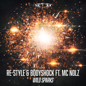 Wild Sparks (Radio Edit)