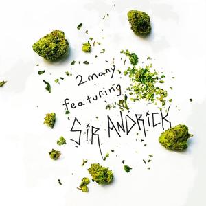 2many(feat. Sir Andrick) (Explicit)