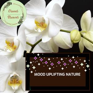 Mood Uplifting Nature