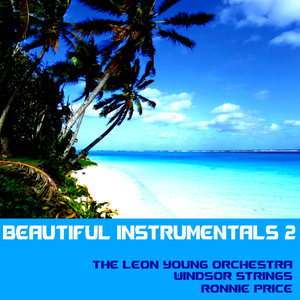 Beautiful Instrumentals, Vol. 2