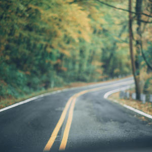 Cheerful Road Trips