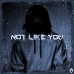 NOT LIKE YOU (Explicit)