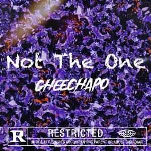 Not The One (Explicit)