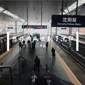 想你的风吹到了沈阳