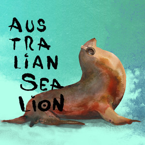 Australian Sea Lion