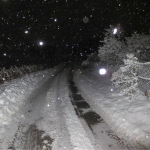 โต๊ะริม