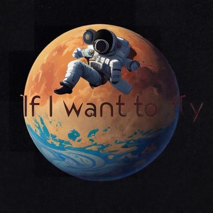 If I want to fly