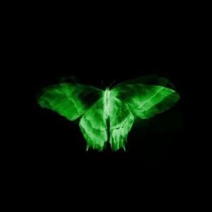 YOU STAYED (feat. FEEZZ)