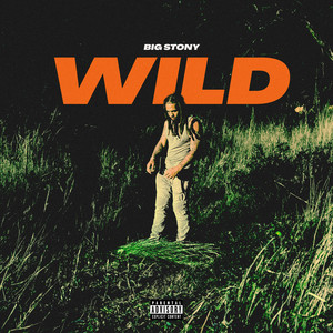 Wild (Explicit)