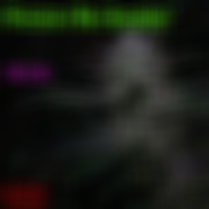 Picture Me Smokin' (Explicit)