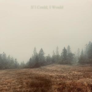 If I Could, I Would (bedroom version)