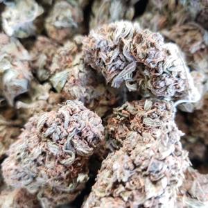All The Drugz (Explicit)