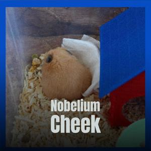 Nobelium Cheek
