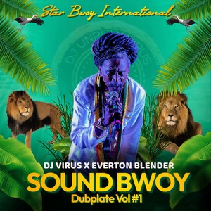 Sound Bwoy Dubplate, Vol. #1