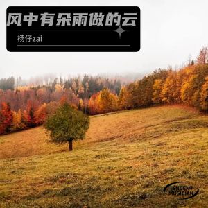 风中有朵雨做的云 (Live)