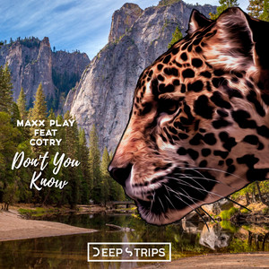 Dont You Know (Maxim Andreev Remix)