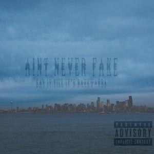 Aint never fake 2 (Explicit)