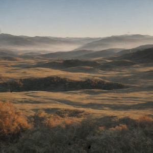 Light Touching the Water’s Skin