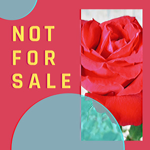 Not for Sale