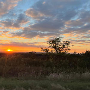 My little black heart (Explicit)