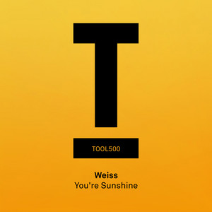 You're Sunshine (Original Mix)