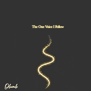 The One Voice I Follow