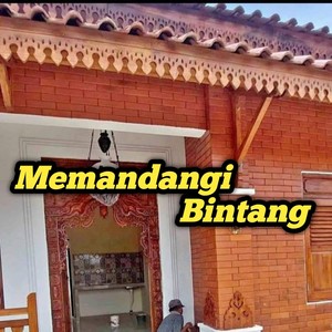 Memandangi Bintang