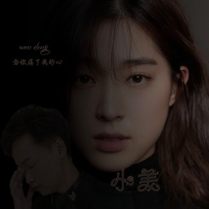 念你痛了我的心