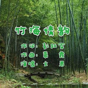 竹海情韵
