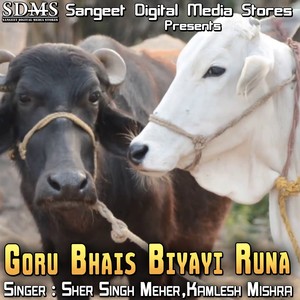 Goru Bhais Biyayi Runa