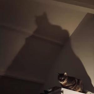 BATMAN (feat. Jejunes) (Explicit)