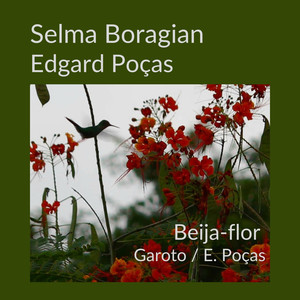 Beija-Flor