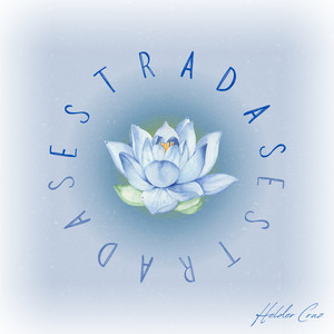 Estradas