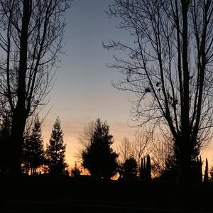 lonely drivers (Explicit)