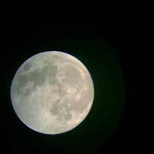 爱你就像爱生命