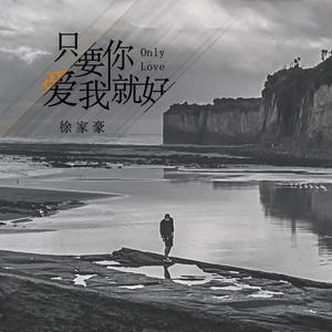 只要你爱我就好 - 家豪儿封面