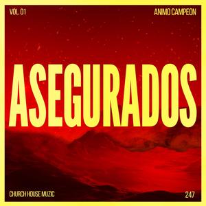 Asegurados (feat. Zenyace)