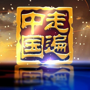 衰伤叙事版