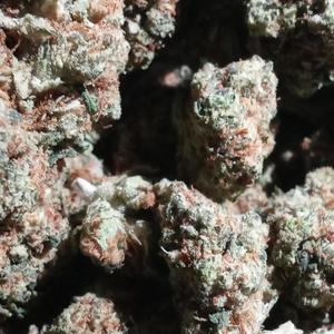 Hold It Down (Explicit)