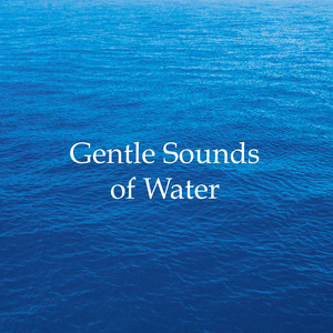 Gentle Sounds of Water - 20 Most Soothing Rain and Water Sounds & Melodies for Relaxation, Deep Sleep, Stress-Free Anxiety Relief, Better Mental Health and Lifestyle Success