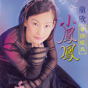 小媳妇回娘家 - 童欣封面