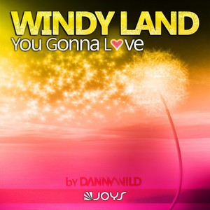 You Gonna Love (Danny Wild Original Mix)