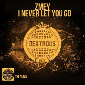 I Never Let You Go - remix (Original Mix)