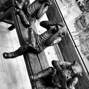 You down ? (feat. Jiggs) (Explicit)