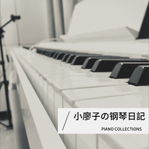 爱的飞行日记 (翻奏: 比伯|DJ 老A|苏可可)封面