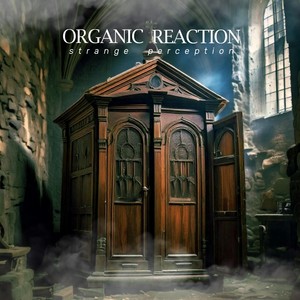 Strange Perception [feat. Fábio Caldeira] (Acoustic Version)