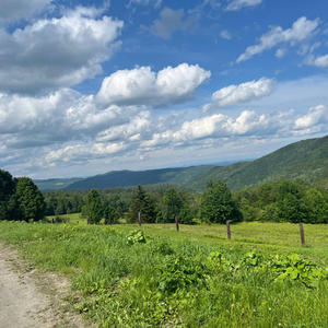 Johnny van Dam - Blues